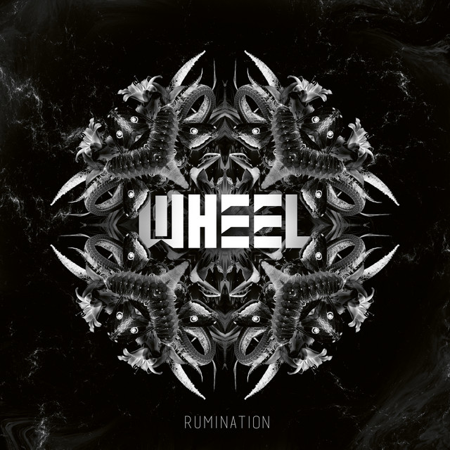 Rumination cover art