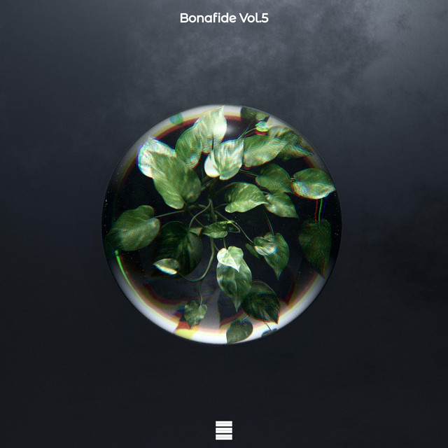 Flare cover art
