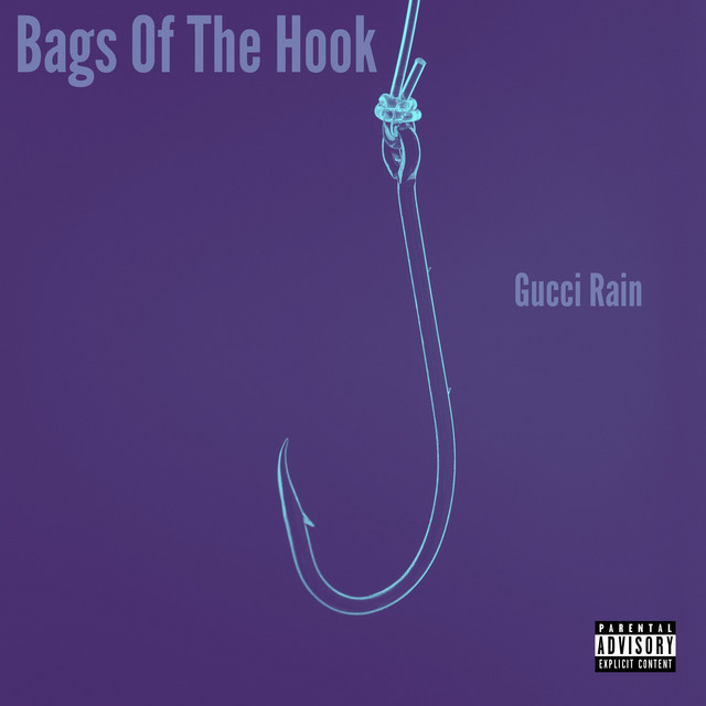Bags of the Hook cover art