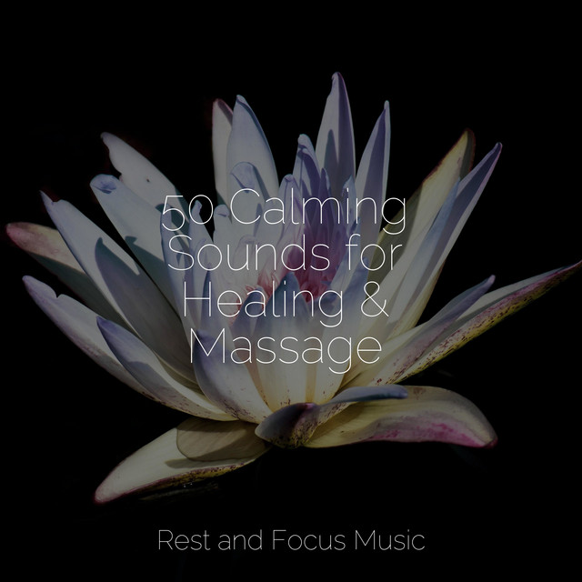 50 Calming Sounds for Healing & Massage - Album by Calming Sounds | Spotify