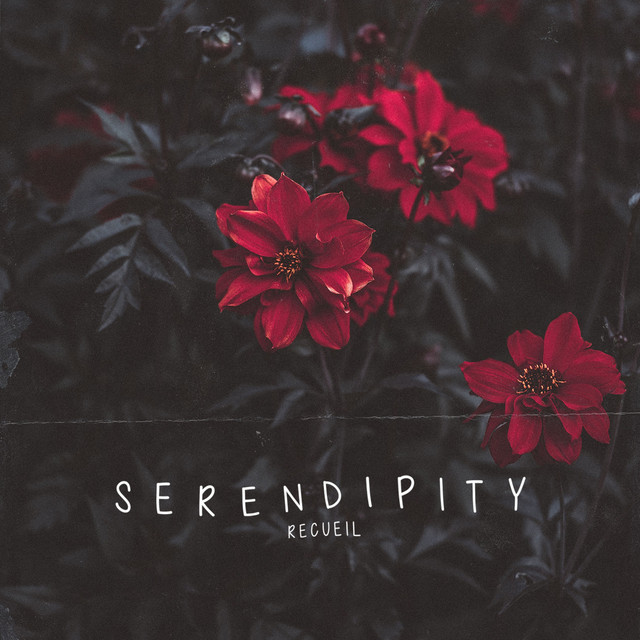 Serendipity cover
