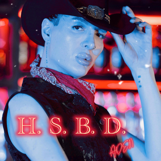 H.S.B.D. cover art