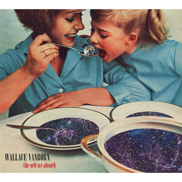 The Orb We Absorb cover