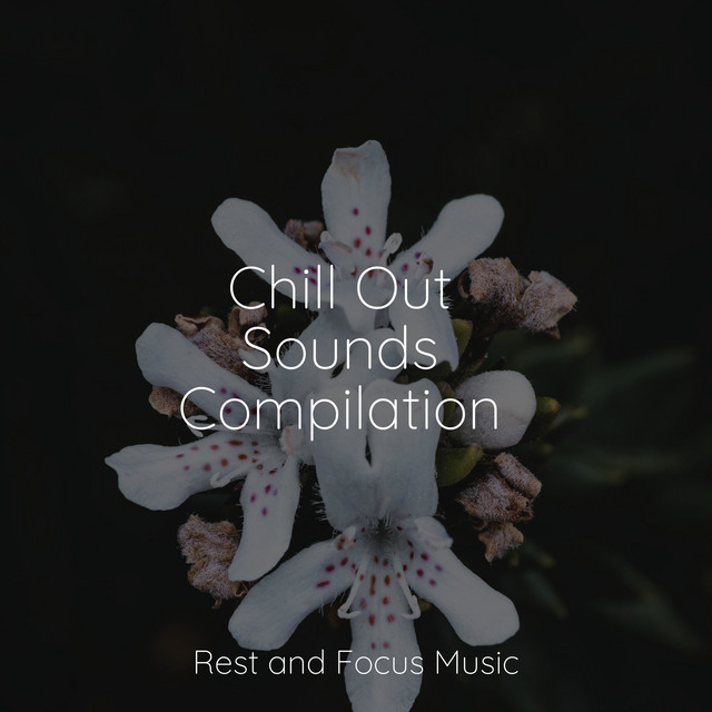 Soothing Symphony