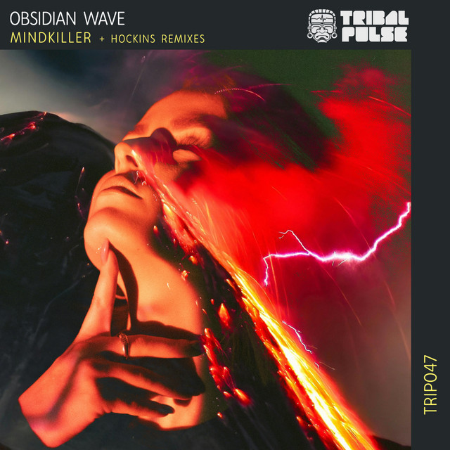 Обкладинка Hockins — Mindkiller