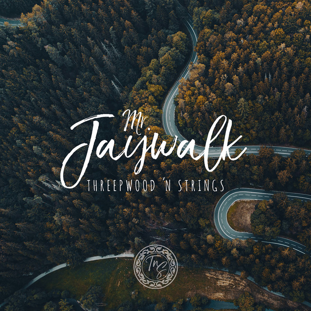 Mr. Jaywalk cover