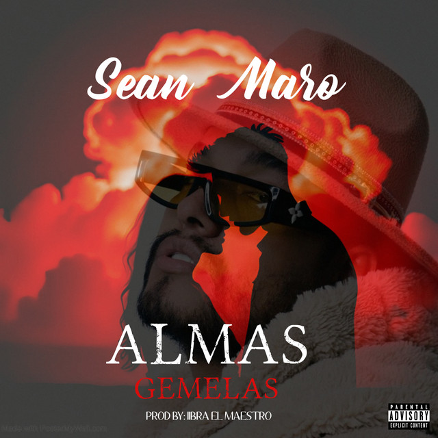Almas Gemelas