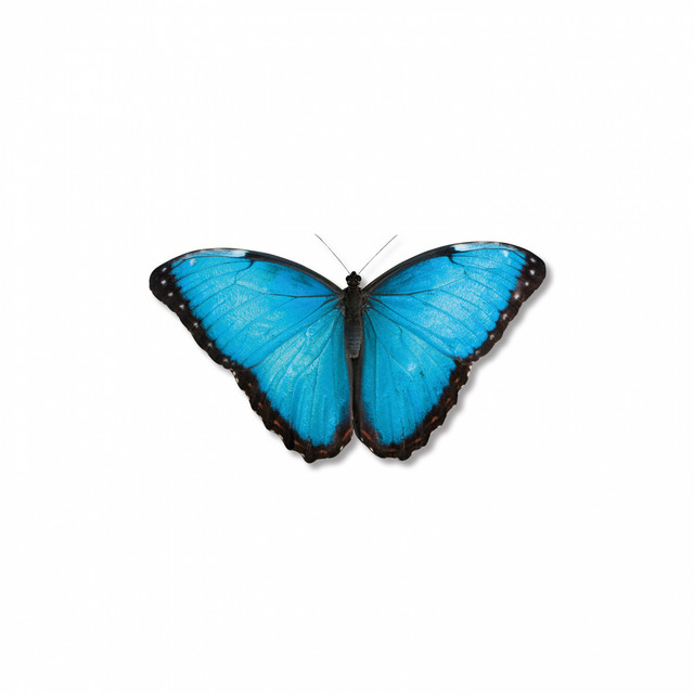 Was bleibt cover art