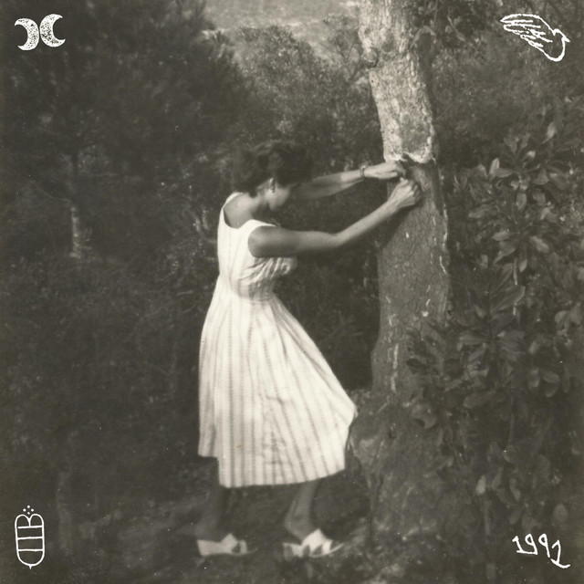 la nit és fosca, però estic bé cover art