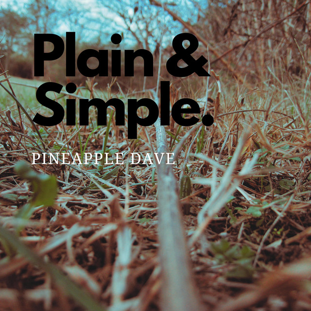 Plain & Simple cover art