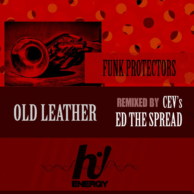 Old Leather cover