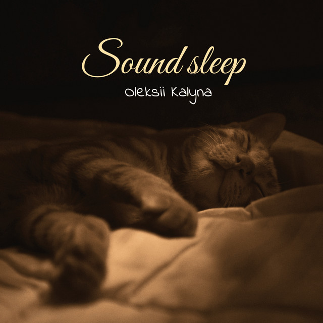 Обкладинка: Sound sleep — Oleksii Kalyna