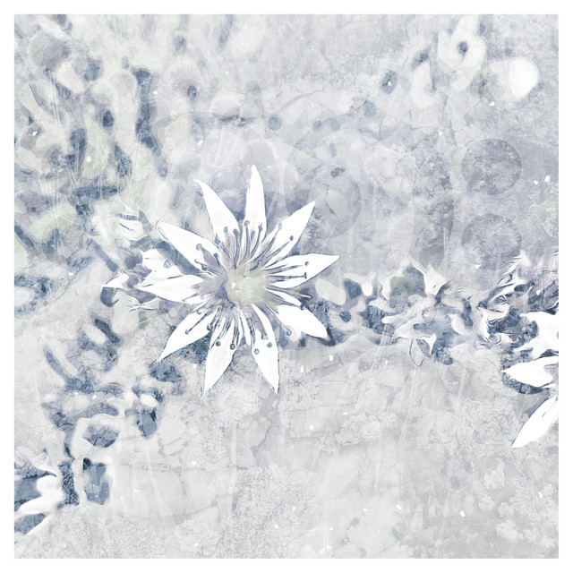 Mini Album cover art