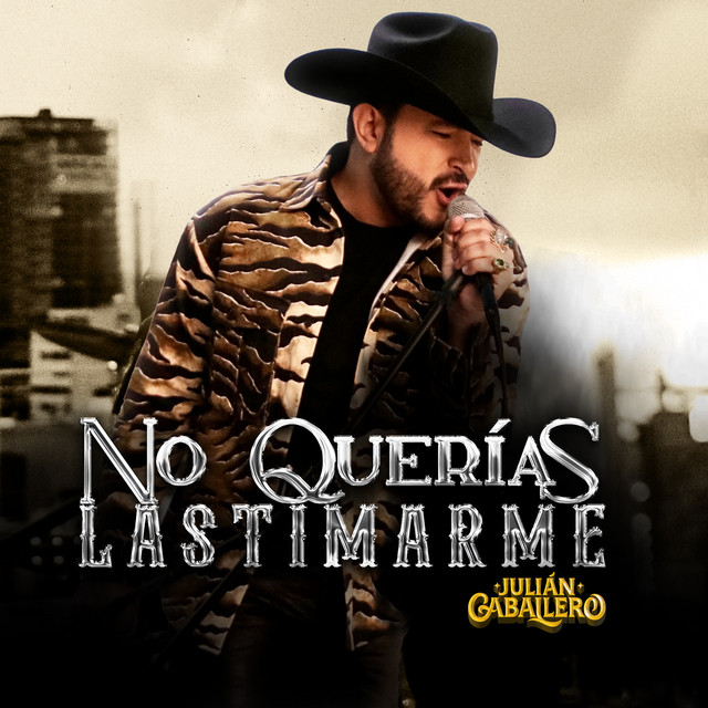 No Querías Lastimarme cover art