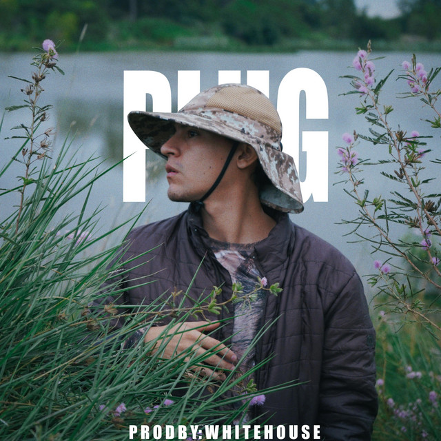 Plug cover art