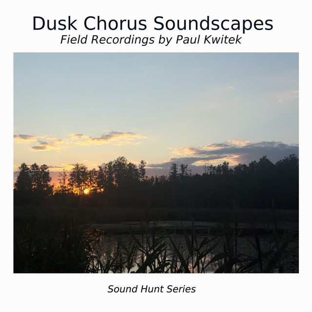 Dusk Chorus Soundscapes cover art