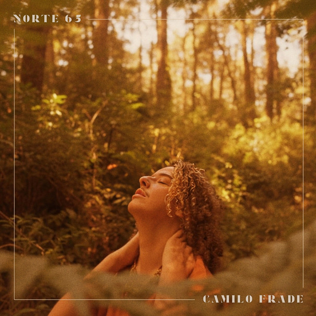 Norte 65