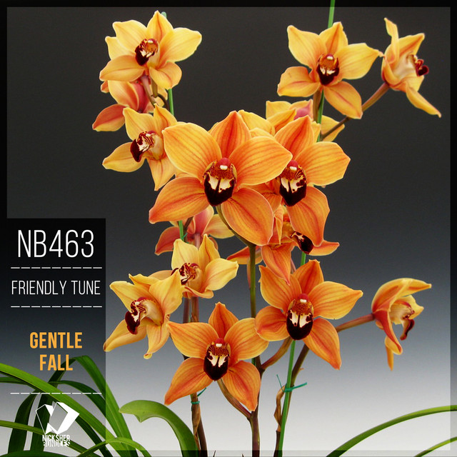 Gentle Fall cover art
