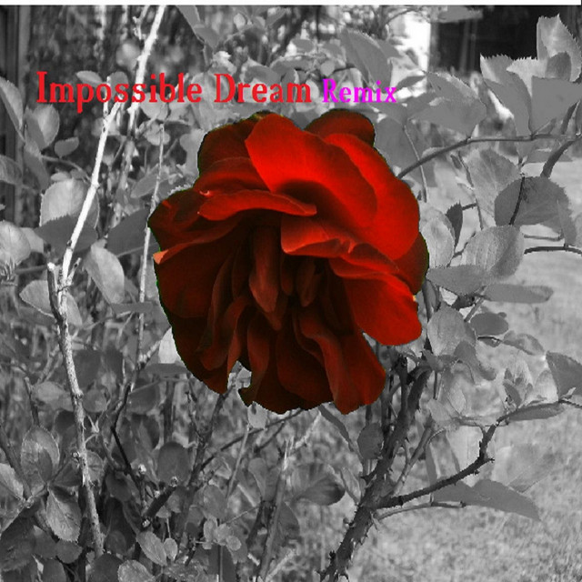 Impossible Dream Remix cover