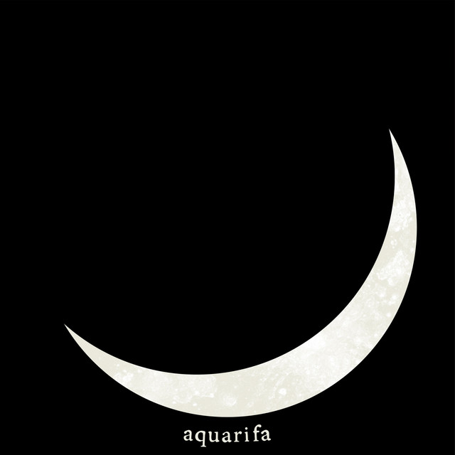 月明かりのせいにして cover art