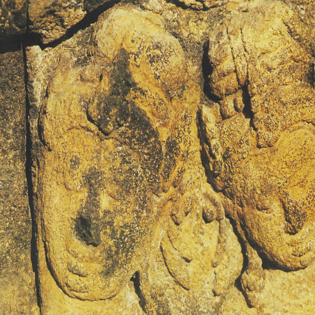 1996 cover