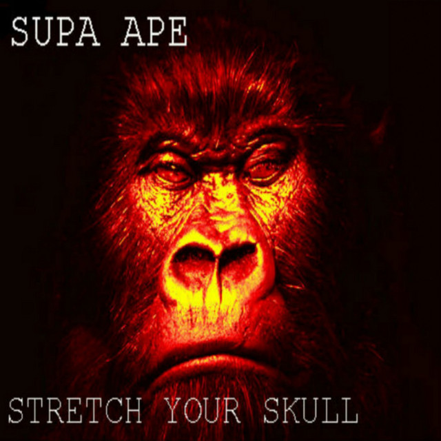 Stretch Your Skull artwork