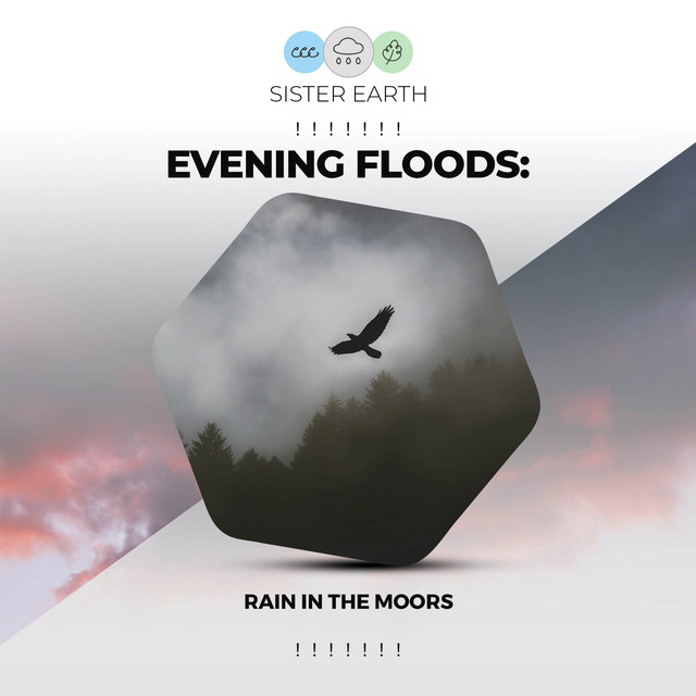 Evening Floods: Rain in the Moors ! ! ! ! ! ! ! - Album by Rain Sound ...