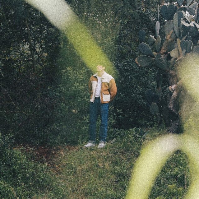 Rauly Unplugged, Vol. 2 cover art