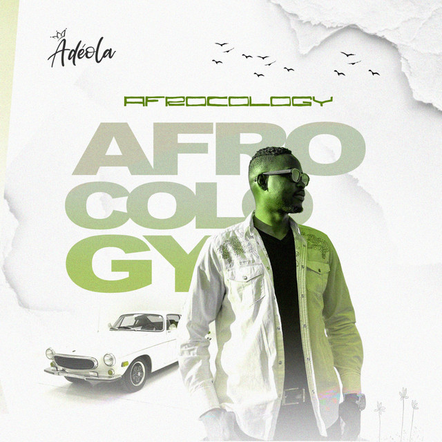 Cover of AFROCOLOGY (Science of Afrobeats) by Adéola