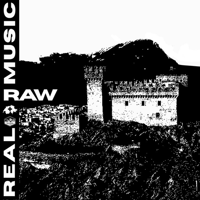 Real Raw Music cover art