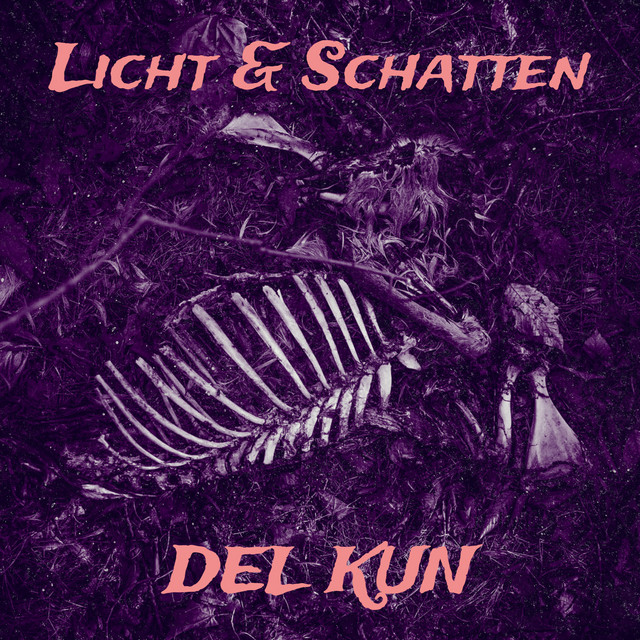 Licht & Schatten cover art