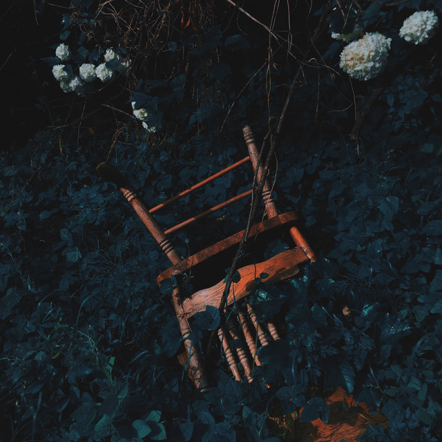 LUCID cover art