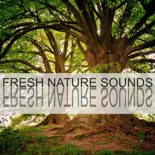 Fresh Nature Sounds cover art