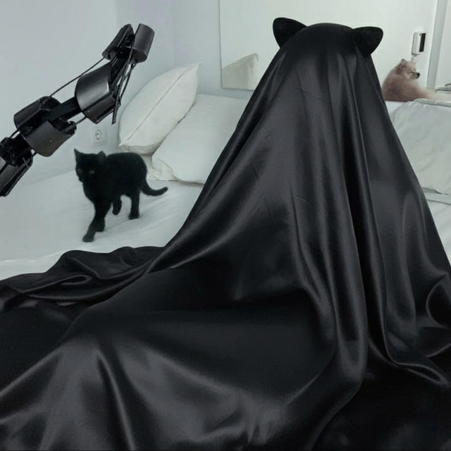 MIAU cover