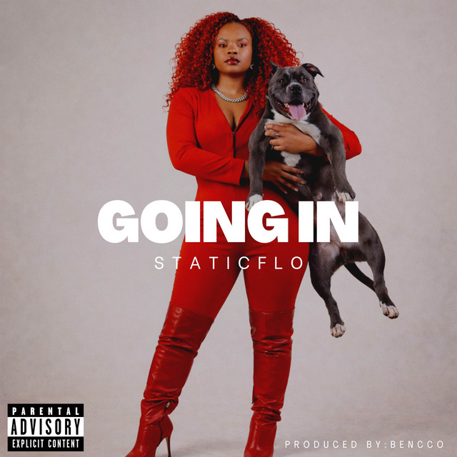 GOING IN - Single by StaticFlo | Spotify