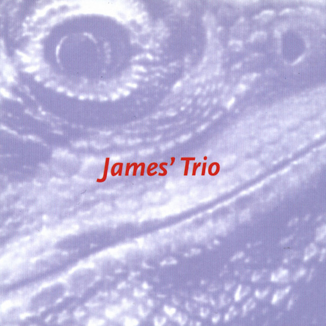 James' Trio cover art