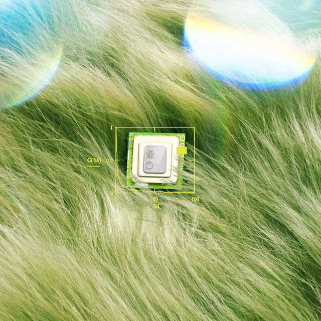 the formula for all living things cover art