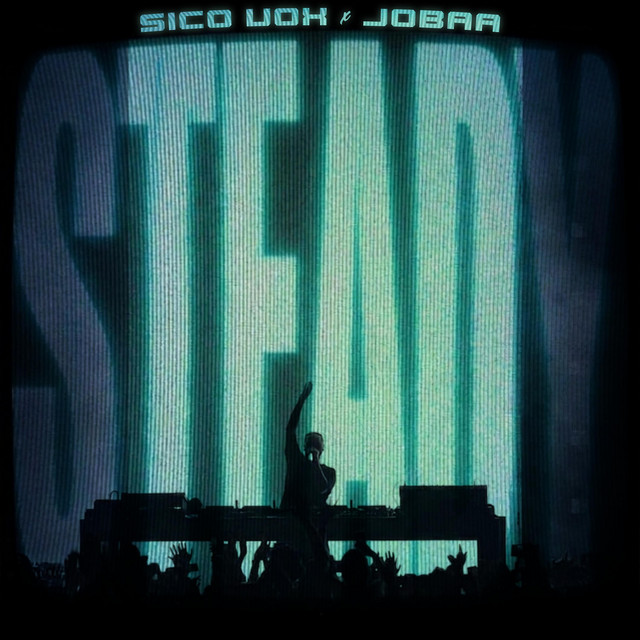 Steady album image
