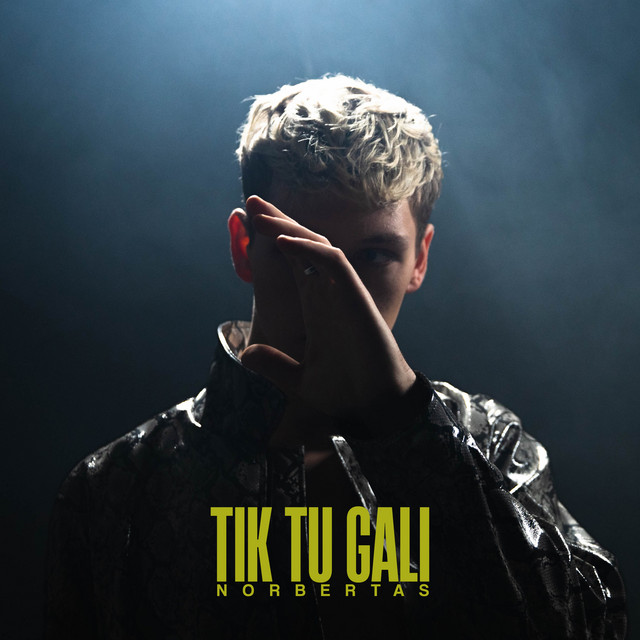 Tik tu gali cover