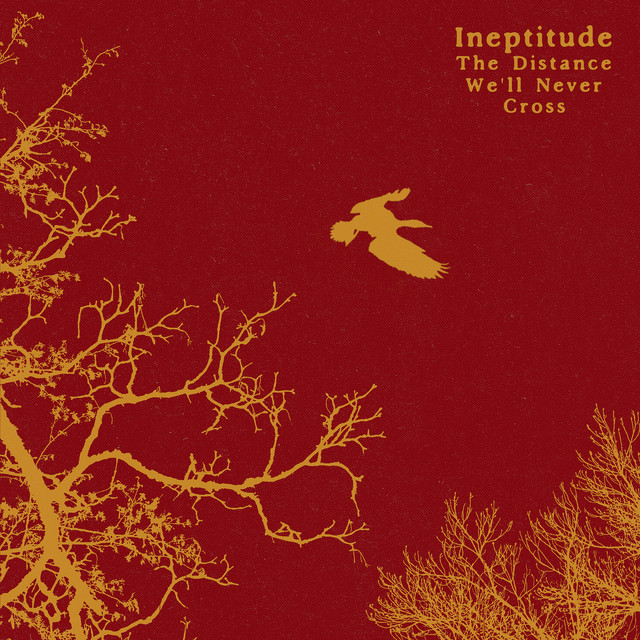 The Distance We'll Never Cross album image