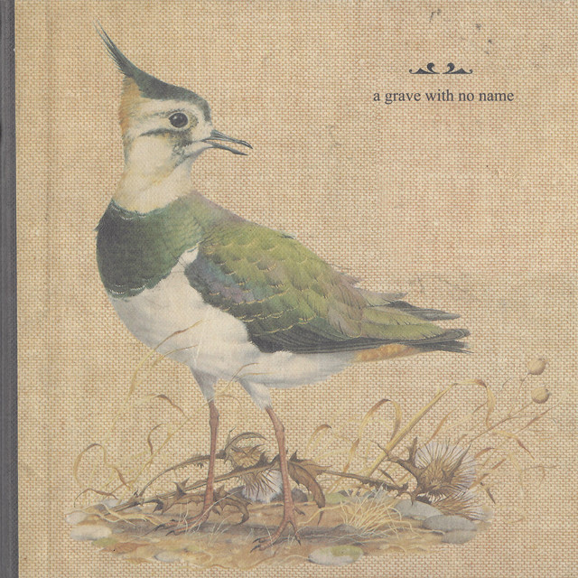 Feathers Wet, Under the Moon cover art