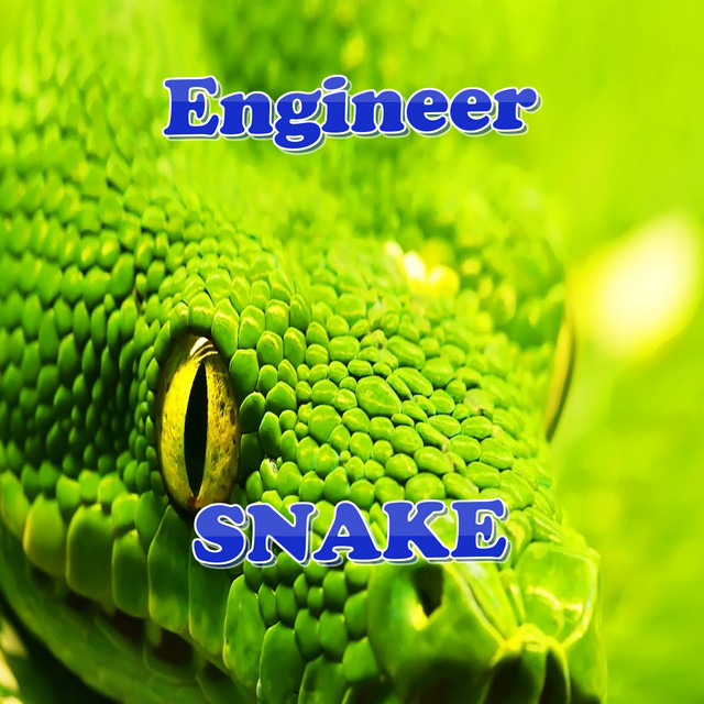 Snake cover art