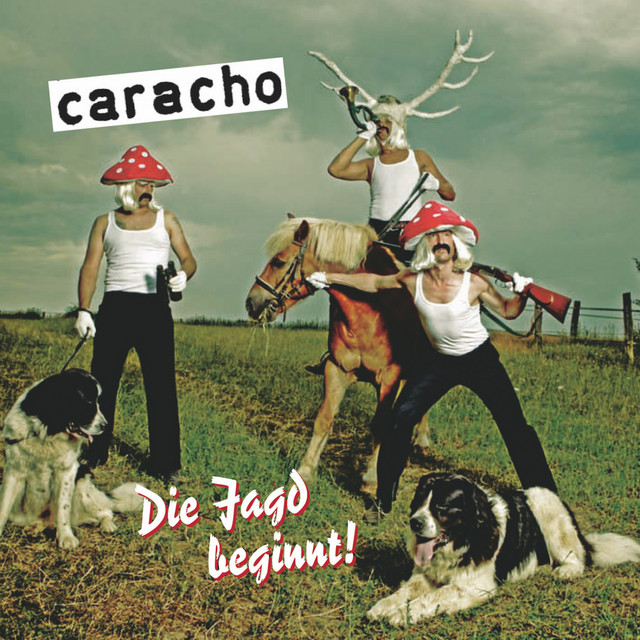 Die Jagd beginnt cover