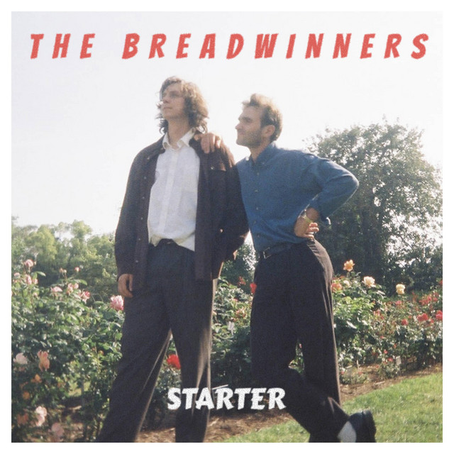 Starter cover art