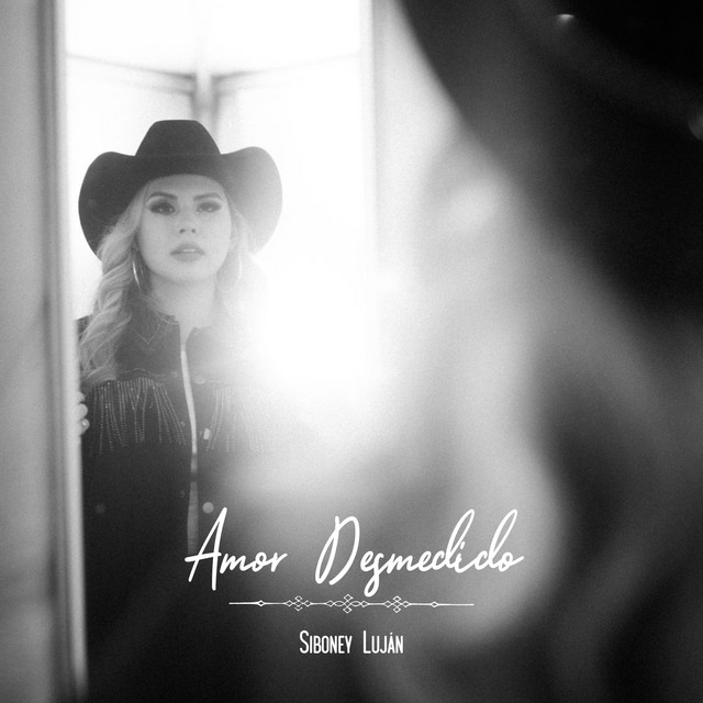 Amor Desmedido cover art