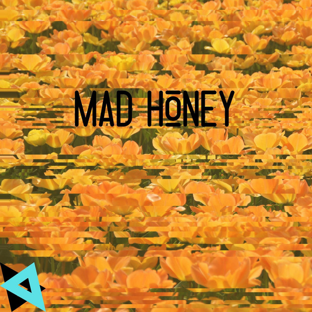 Mad Honey cover art