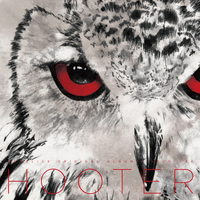 Hooter cover art