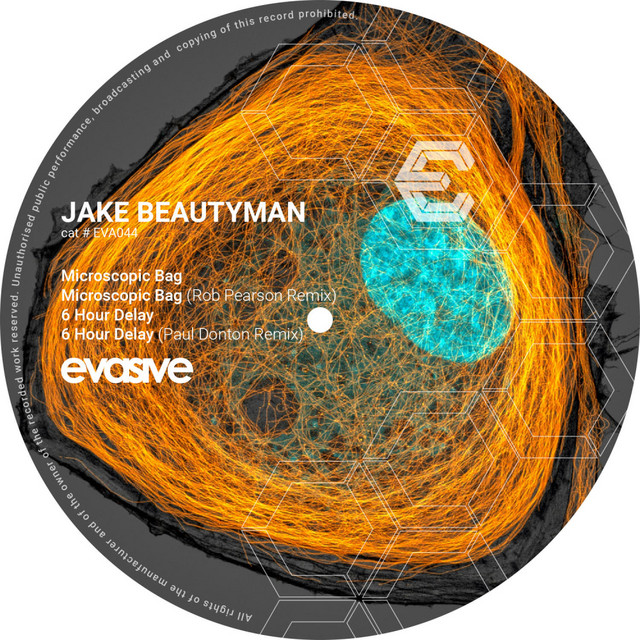 Microscopic Bag - Rob Pearson Remix Edit cover art