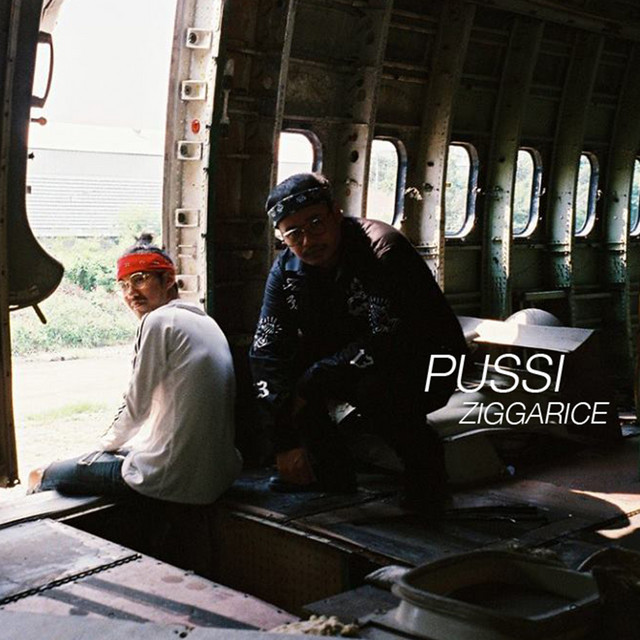 Pussi cover art