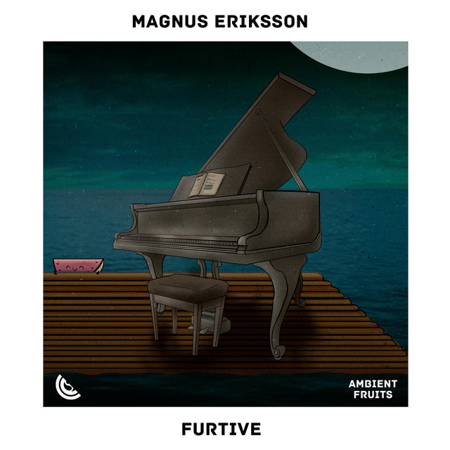 Furtive cover